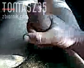 Tomasz35