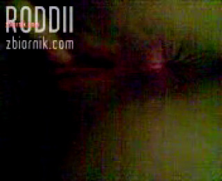 roddii