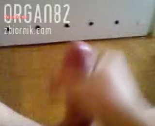 organ82