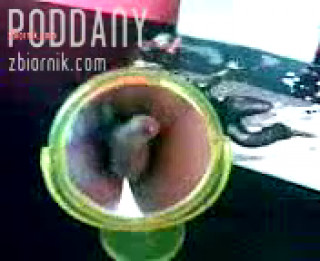 PoDDany