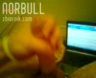 norbull