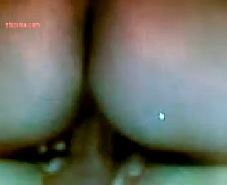 seksofil