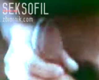 seksofil