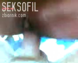 seksofil