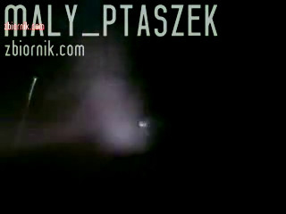 maly_ptaszek