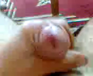 ptak4