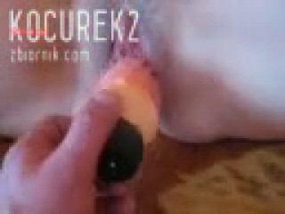kocurek2