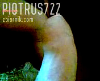 piotrus722
