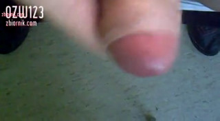 dla pan