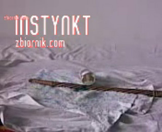 instynkt