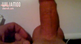 wiliam00