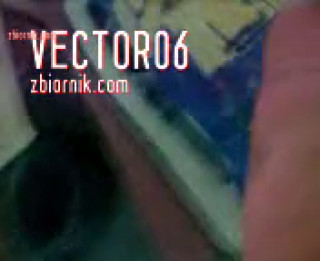 vector06