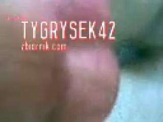 tygrysek42