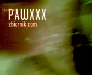 pawxxx