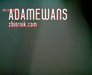 AdamEwaNs