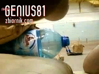 genius81