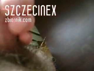 szczecinex