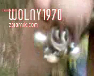wolny1970