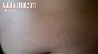 addibstok2011