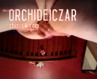 orchideiczar