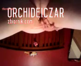 video-2011-08-17-21-28-02.mp4