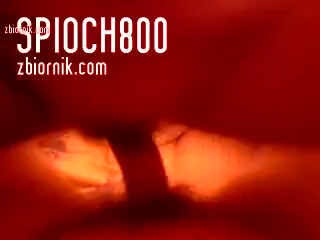 spioch800
