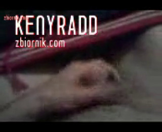 kenyradd