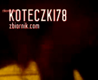koteczki78