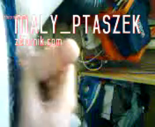 maly_ptaszek