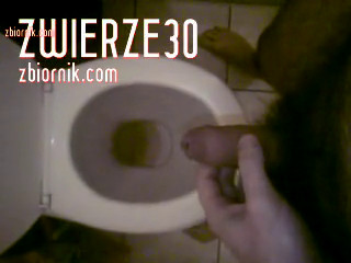 Zwierze30