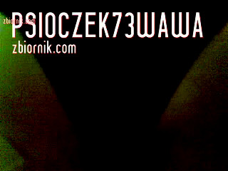psioczek73wawa