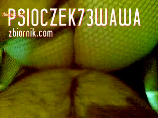 psioczek73wawa
