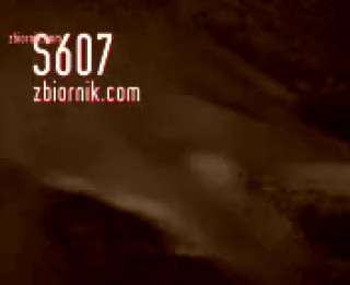 s607