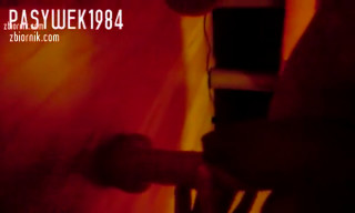 Pasywek1984