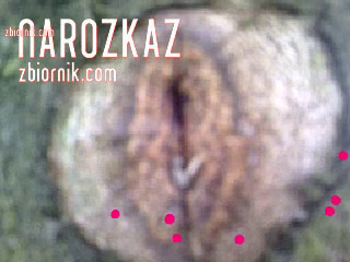 skojarzenia ...
