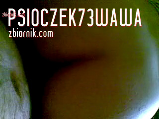 psioczek73wawa