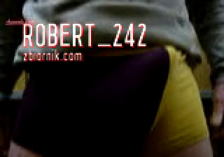 Robert_242