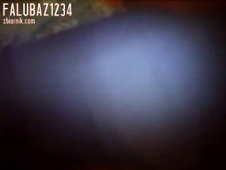 video_00001.mp4