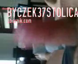 Byczek37stolica