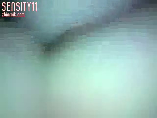 sensity11
