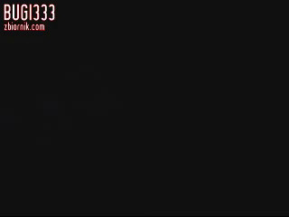 bugi333