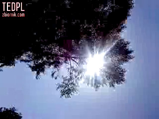 MOV00194.MP4