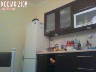 kociaki2109