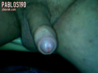 pablos190