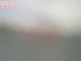wal2212