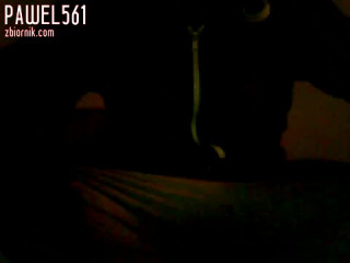 pawel561