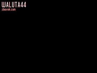 waluta44