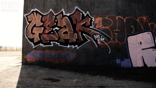 FFM74