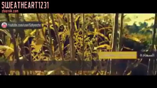 12607414_165421093828079_1480342267_n.mp4