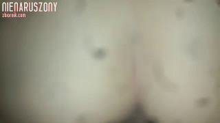 nienaruszony